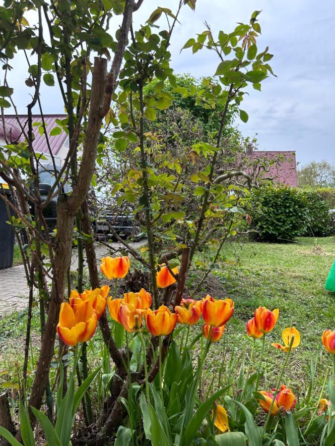 Fewo Michistrasse Forchheim  Exteriér fotografie